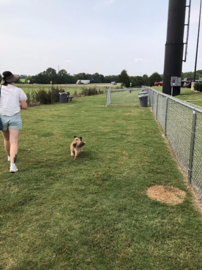 Dog Park at Love's Travel Stops - Hope Hull, AL