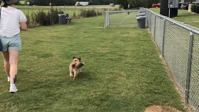 Dog Park at Love's Travel Stops - Hope Hull, AL