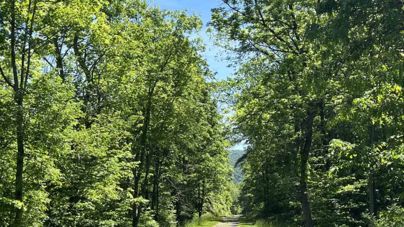 Cypher Trailhead Huntingdon and Broad Top Rail - Hopewell, PA