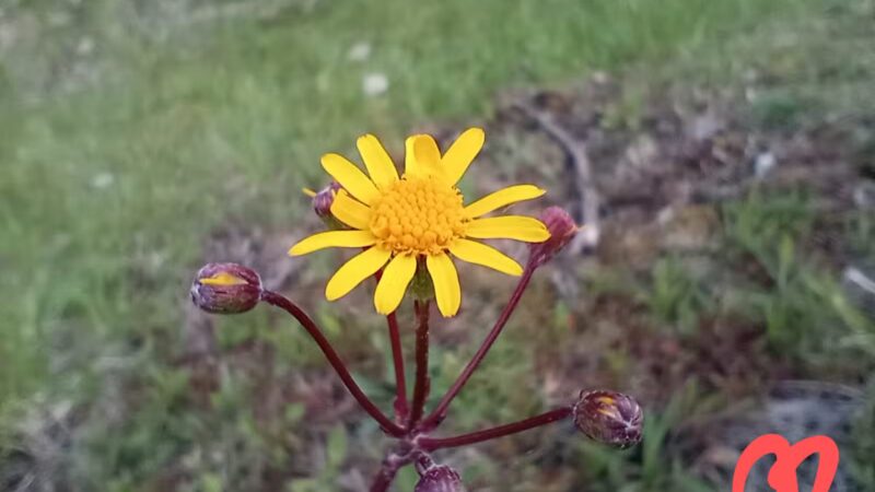 Cypher Trailhead Huntingdon and Broad Top Rail - Hopewell, PA