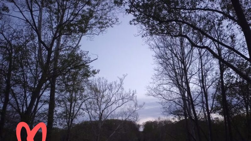 Cypher Trailhead Huntingdon and Broad Top Rail - Hopewell, PA