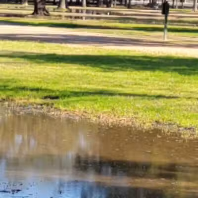 Congressman Bill Archer Park And Dog Park - Houston, TX