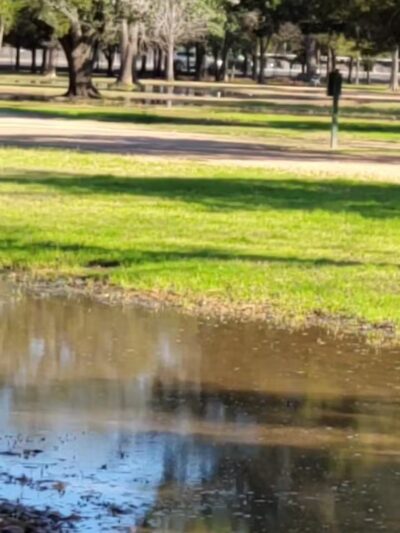 Congressman Bill Archer Park And Dog Park - Houston, TX