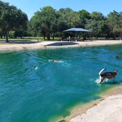 Congressman Bill Archer Park And Dog Park - Houston, TX
