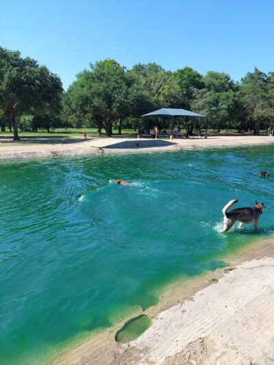Congressman Bill Archer Park And Dog Park - Houston, TX