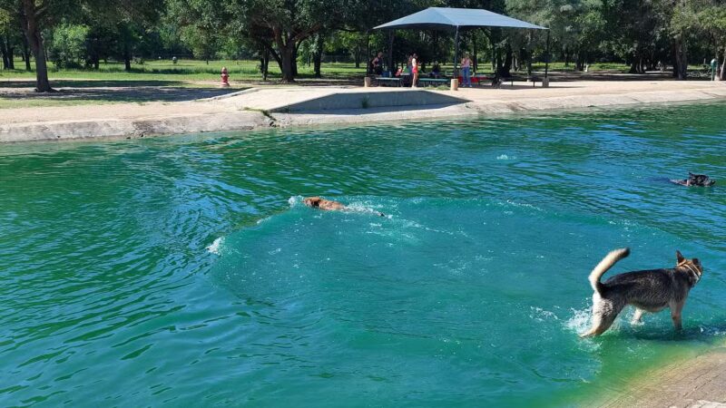 Congressman Bill Archer Park And Dog Park - Houston, TX