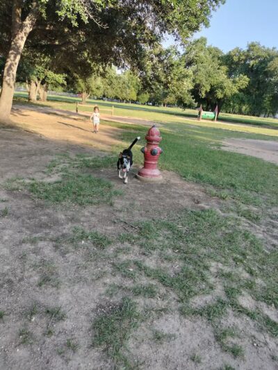 Congressman Bill Archer Park And Dog Park - Houston, TX