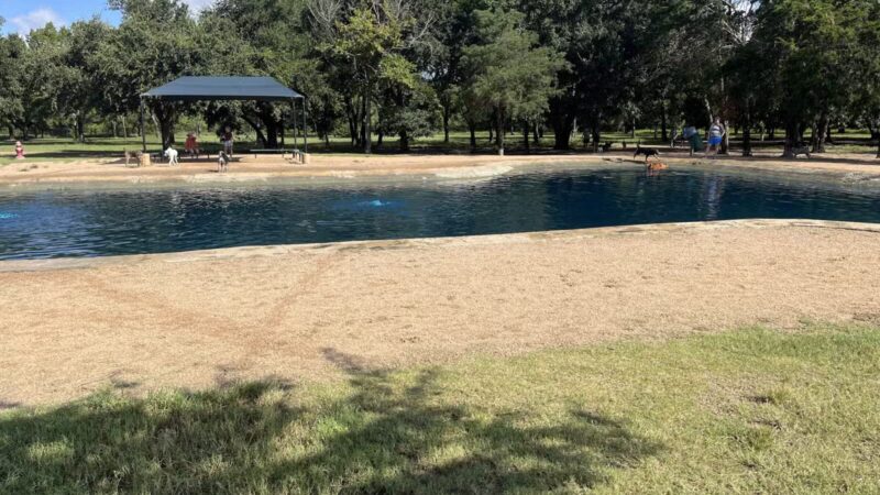 Congressman Bill Archer Park And Dog Park - Houston, TX