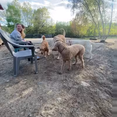 Benson Dog Park - Hudson, NH