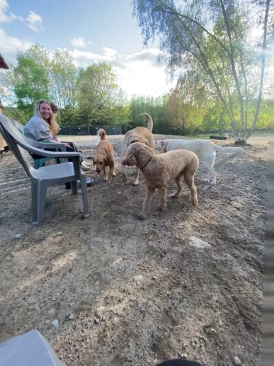Benson Dog Park - Hudson, NH