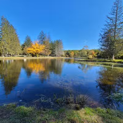 Benson Park - Hudson, NH