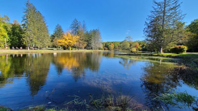 Benson Park - Hudson, NH