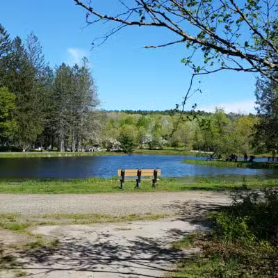 Benson Park - Hudson, NH