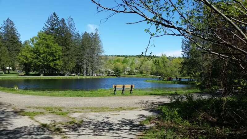 Benson Park - Hudson, NH
