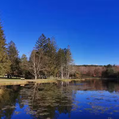 Benson Park - Hudson, NH