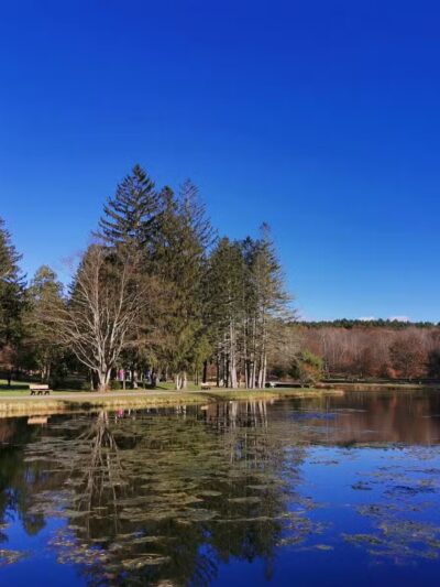 Benson Park - Hudson, NH