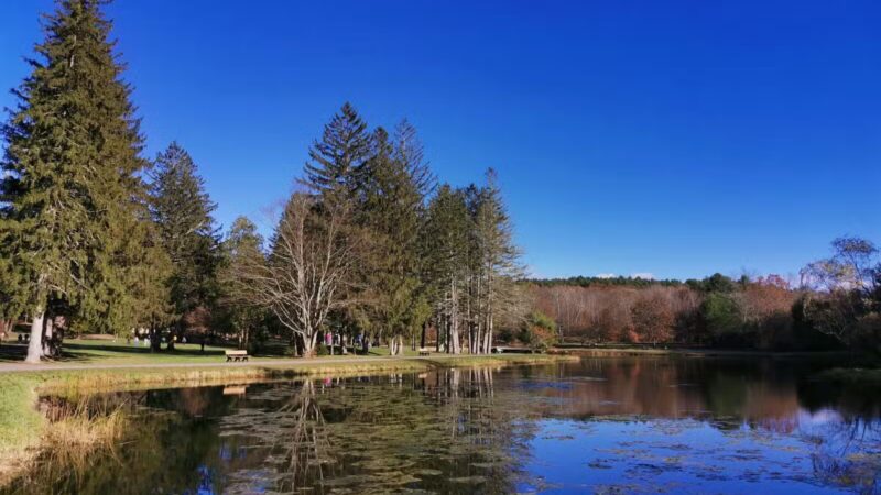 Benson Park - Hudson, NH