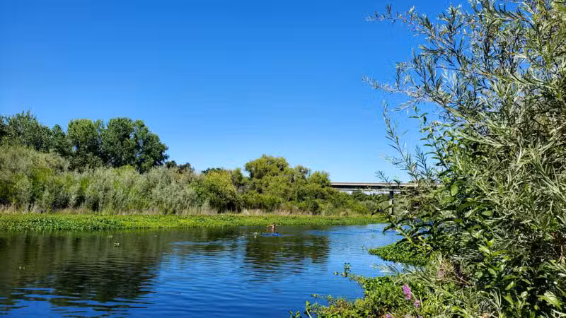 Fox Grove Park - Hughson, CA