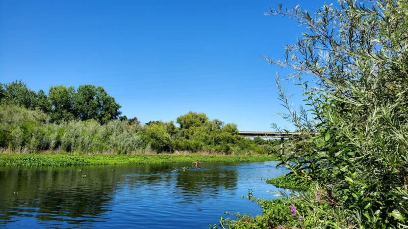 Fox Grove Park - Hughson, CA