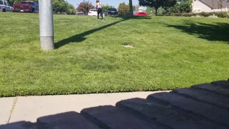 Rolland C. Starn Memorial Park - Hughson, CA