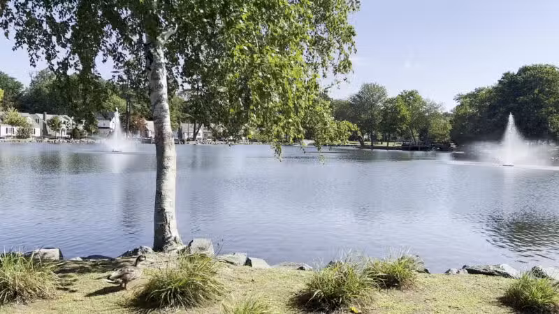 Crystal Lake - Huntington, NY