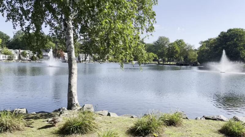 Crystal Lake - Huntington, NY