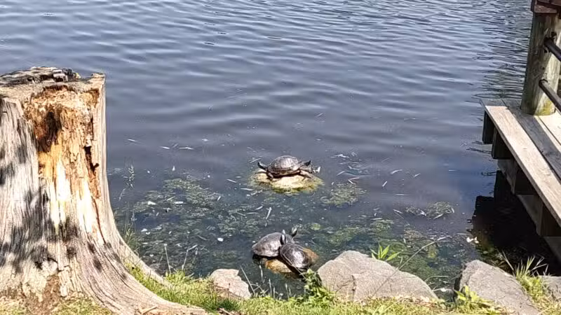 Crystal Lake - Huntington, NY