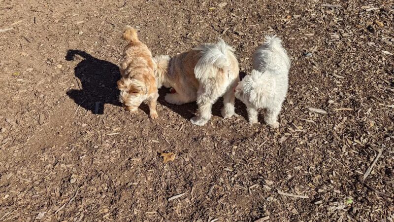 West Hills Park - Huntington, NY