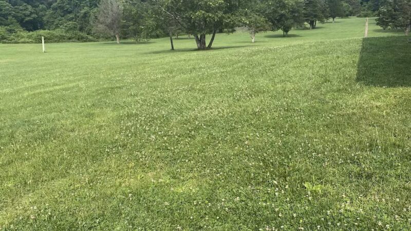 West Hills Park - Huntington, NY