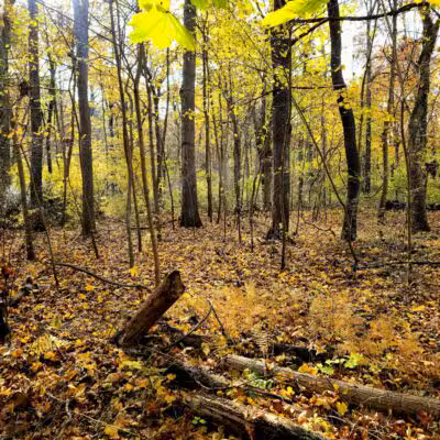 West Hills Park - Huntington, NY