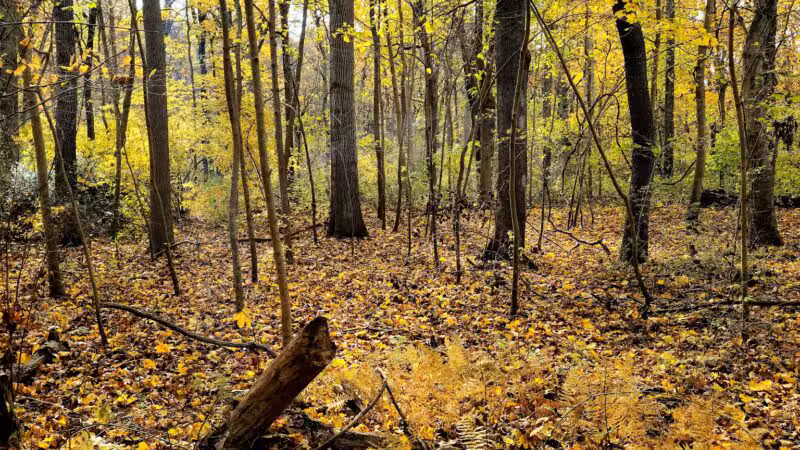 West Hills Park - Huntington, NY