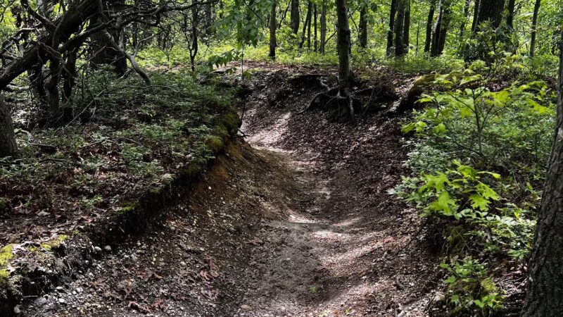 West Hills Park - Huntington, NY