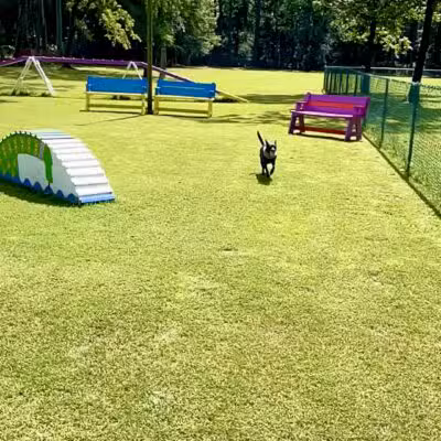Kelly & Buddy's Private Dog Park - Huntsville, AL