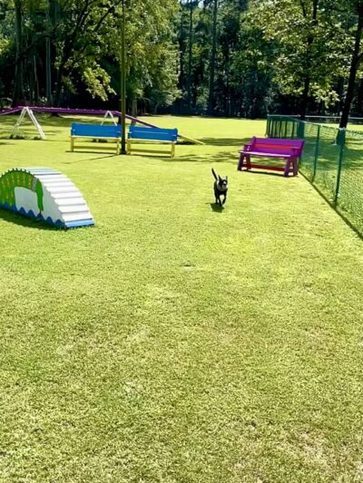 Kelly & Buddy's Private Dog Park - Huntsville, AL