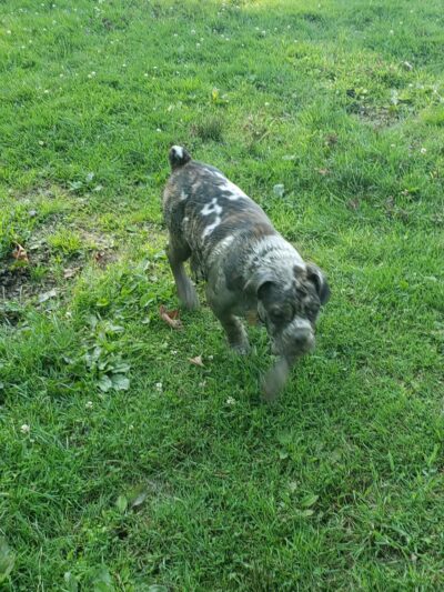 Getty Heights Park - Indiana, PA