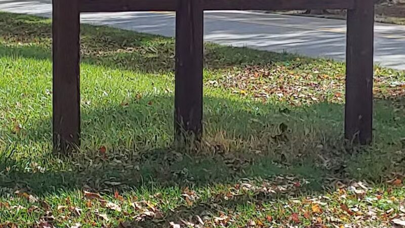 Getty Heights Park - Indiana, PA