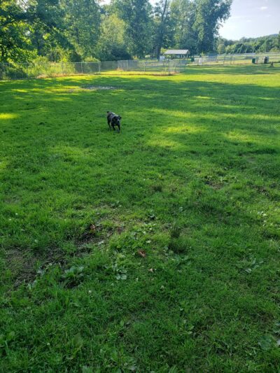 Getty Heights Park - Indiana, PA