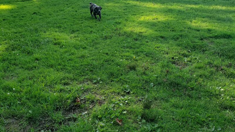 Getty Heights Park - Indiana, PA