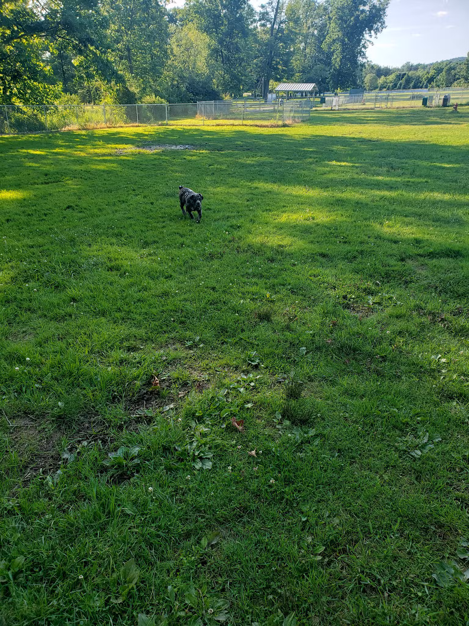 Getty Heights Park - Indiana, PA