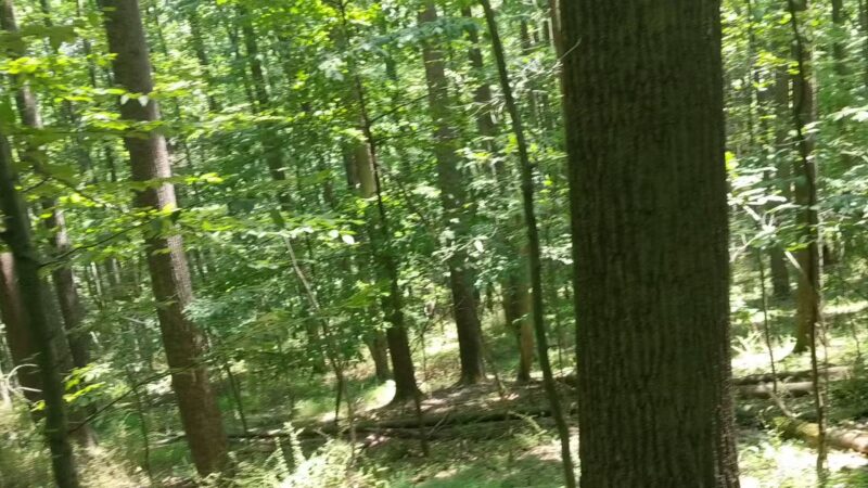 Whites Woods Nature Center - Indiana, PA