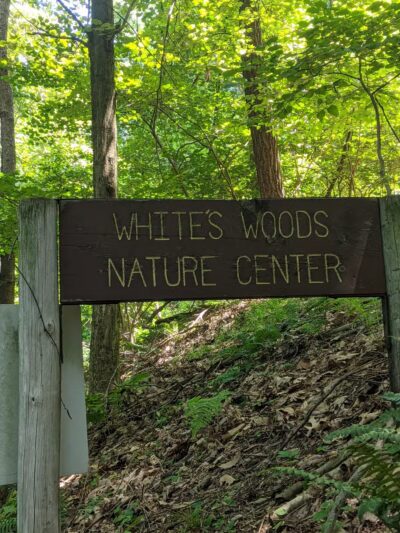 Whites Woods Nature Center - Indiana, PA