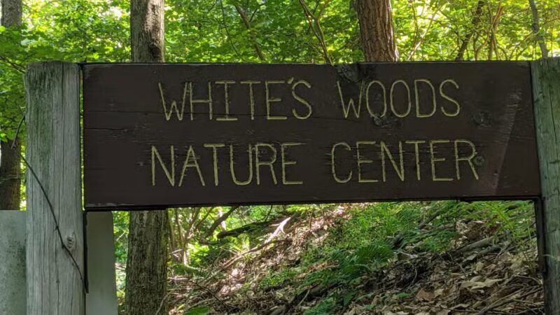 Whites Woods Nature Center - Indiana, PA