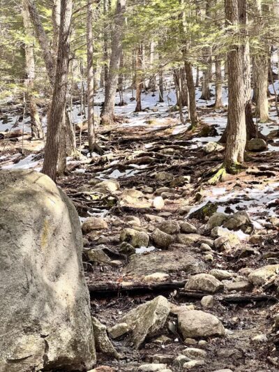 Kearsarge North Trailhead - Intervale, NH