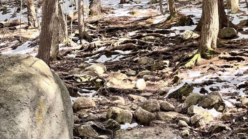 Kearsarge North Trailhead - Intervale, NH