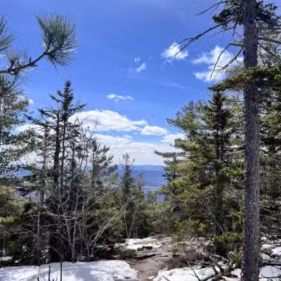Kearsarge North Trailhead - Intervale, NH