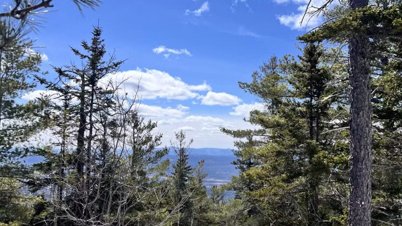 Kearsarge North Trailhead - Intervale, NH