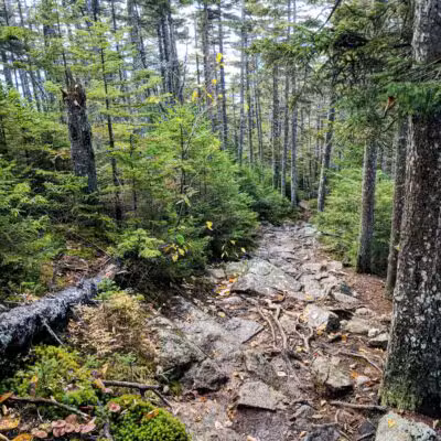 Kearsarge North Trailhead - Intervale, NH