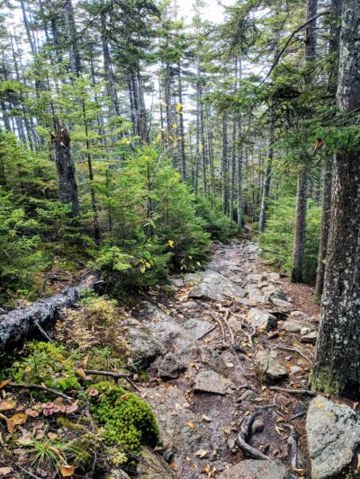 Kearsarge North Trailhead - Intervale, NH