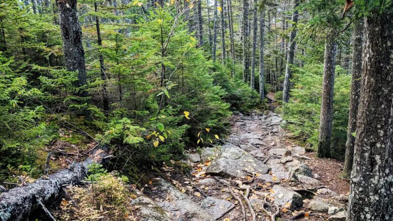 Kearsarge North Trailhead - Intervale, NH
