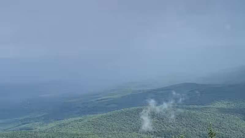 Kearsarge North Trailhead - Intervale, NH